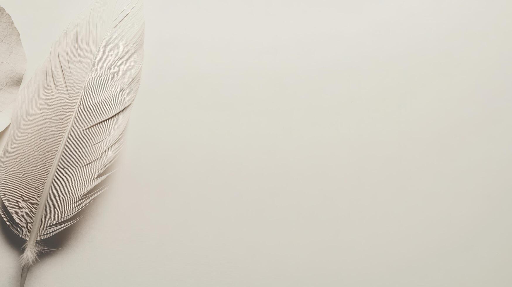 Soft white feather resting on a light textured background during a calm indoor moment of tranquility photo