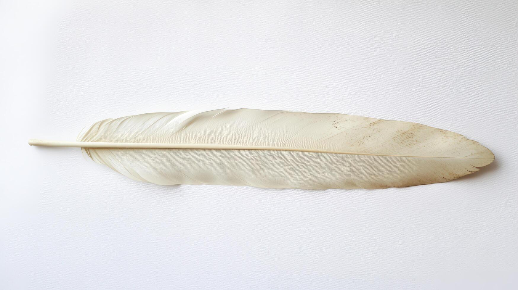 Large white feather displayed on a neutral background showcasing its delicate structure and unique details photo