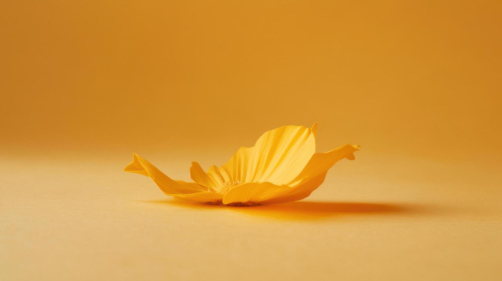 Bright yellow flower petal resting on a soft yellow background in a serene and harmonious setting photo