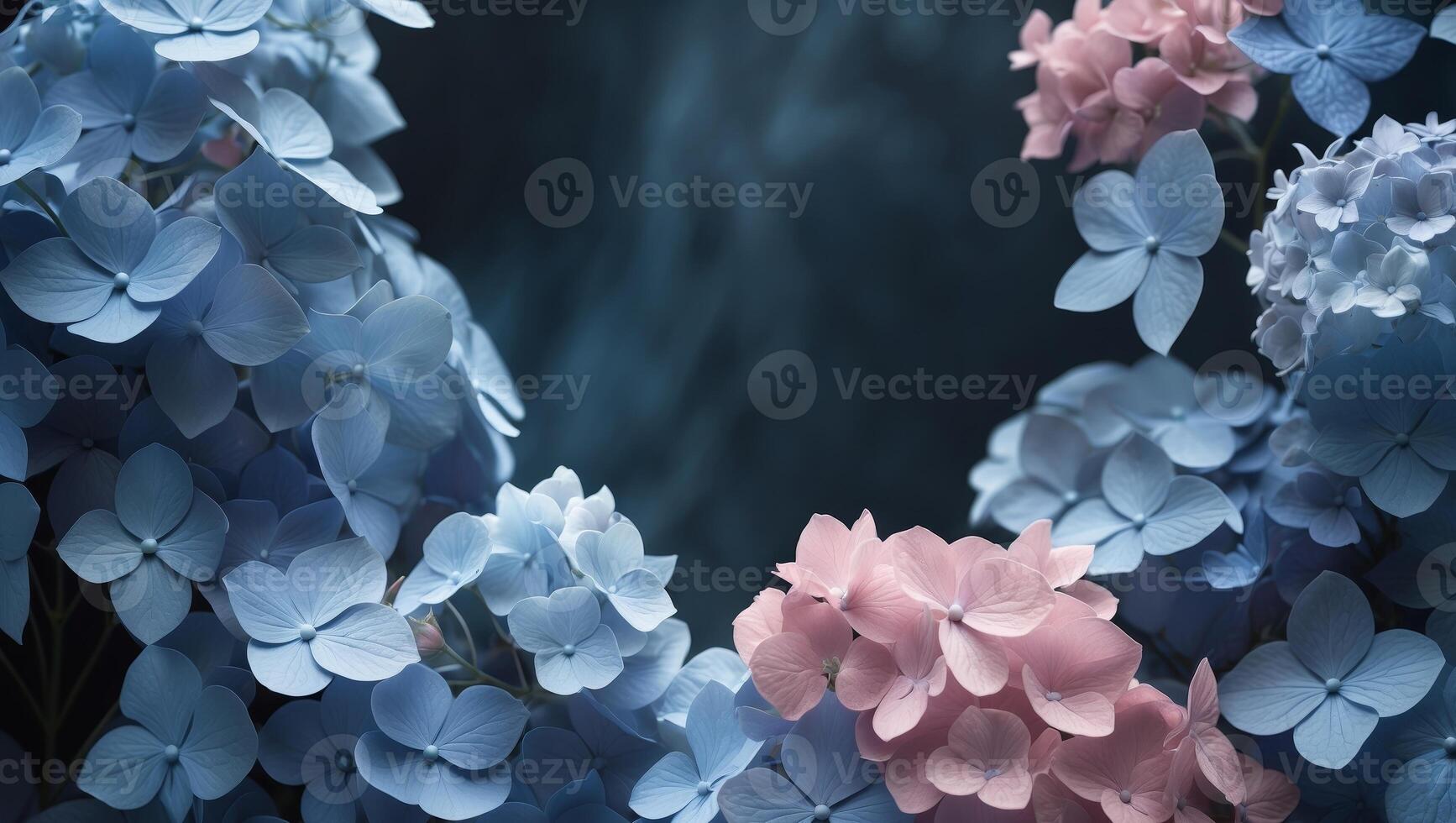Floral frame of blue and pink hydrangea flowers on a dark background.Floral frame of blue and pink hydrangea flowers on a dark background. photo