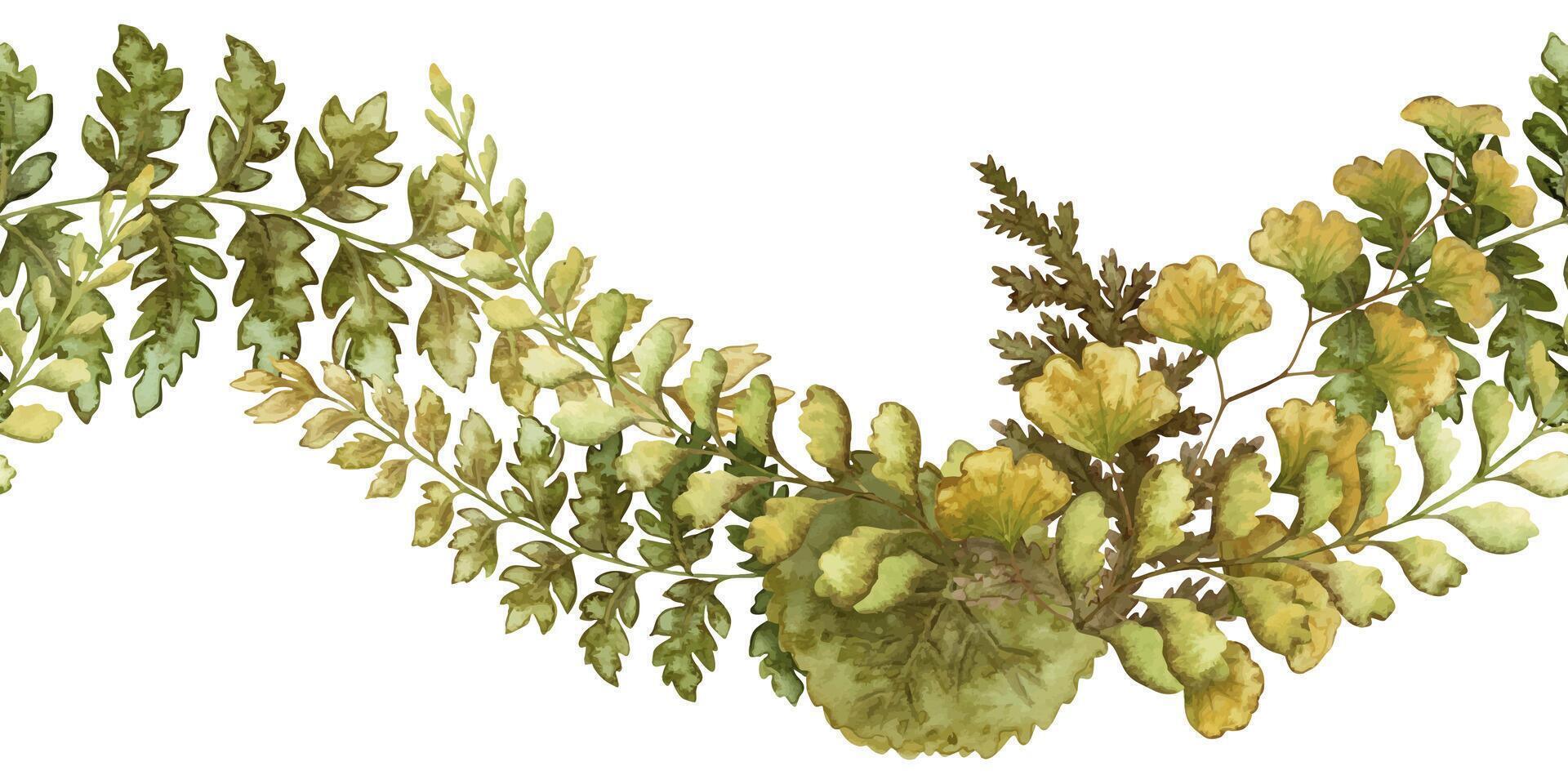 Fern leaves curved seamless border in the earth green tone. Hand drawn watercolor botanical element with textured foliage. Perfect for the use of ecological material and modern sustainable design. vector