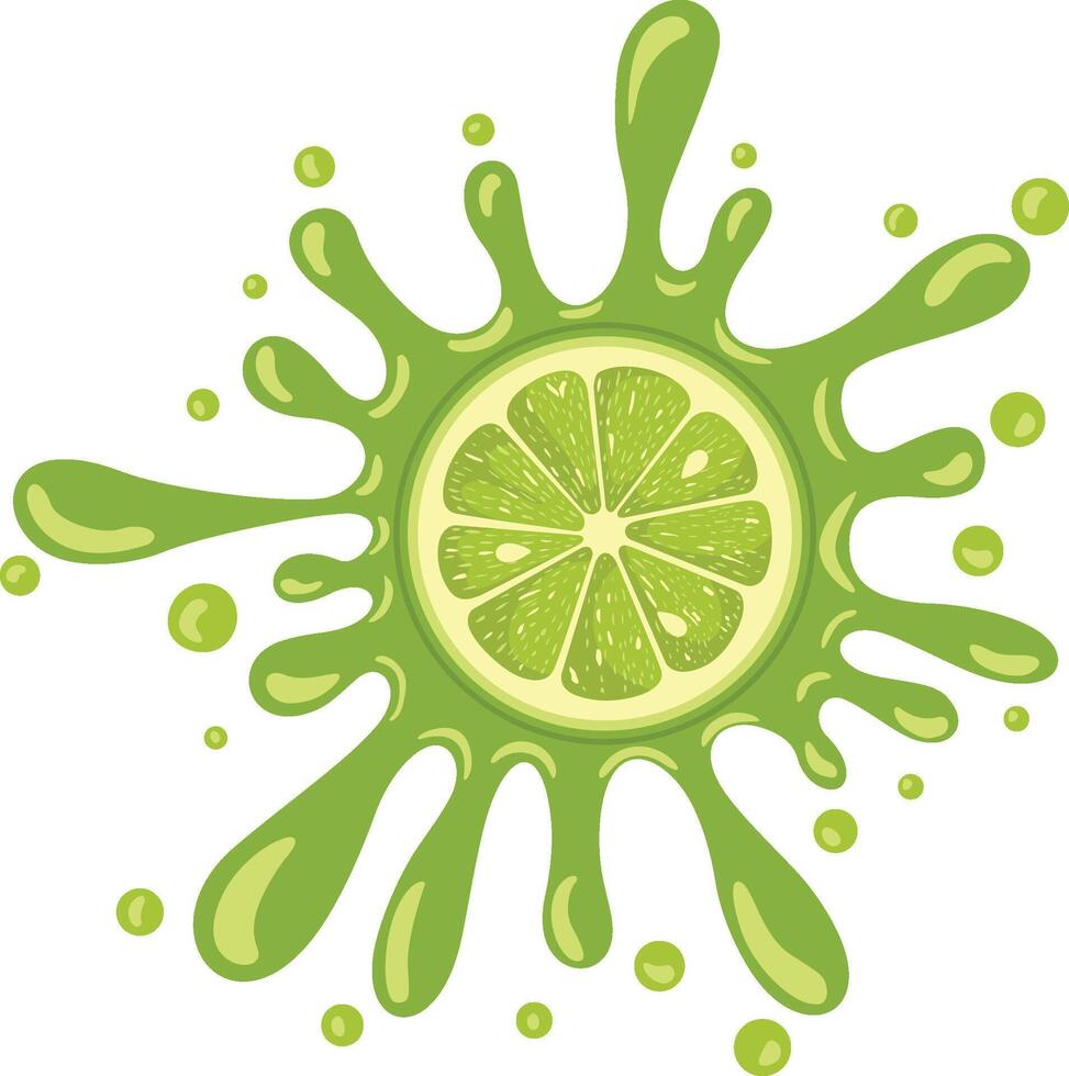Splash juicy slice of green lemon vector