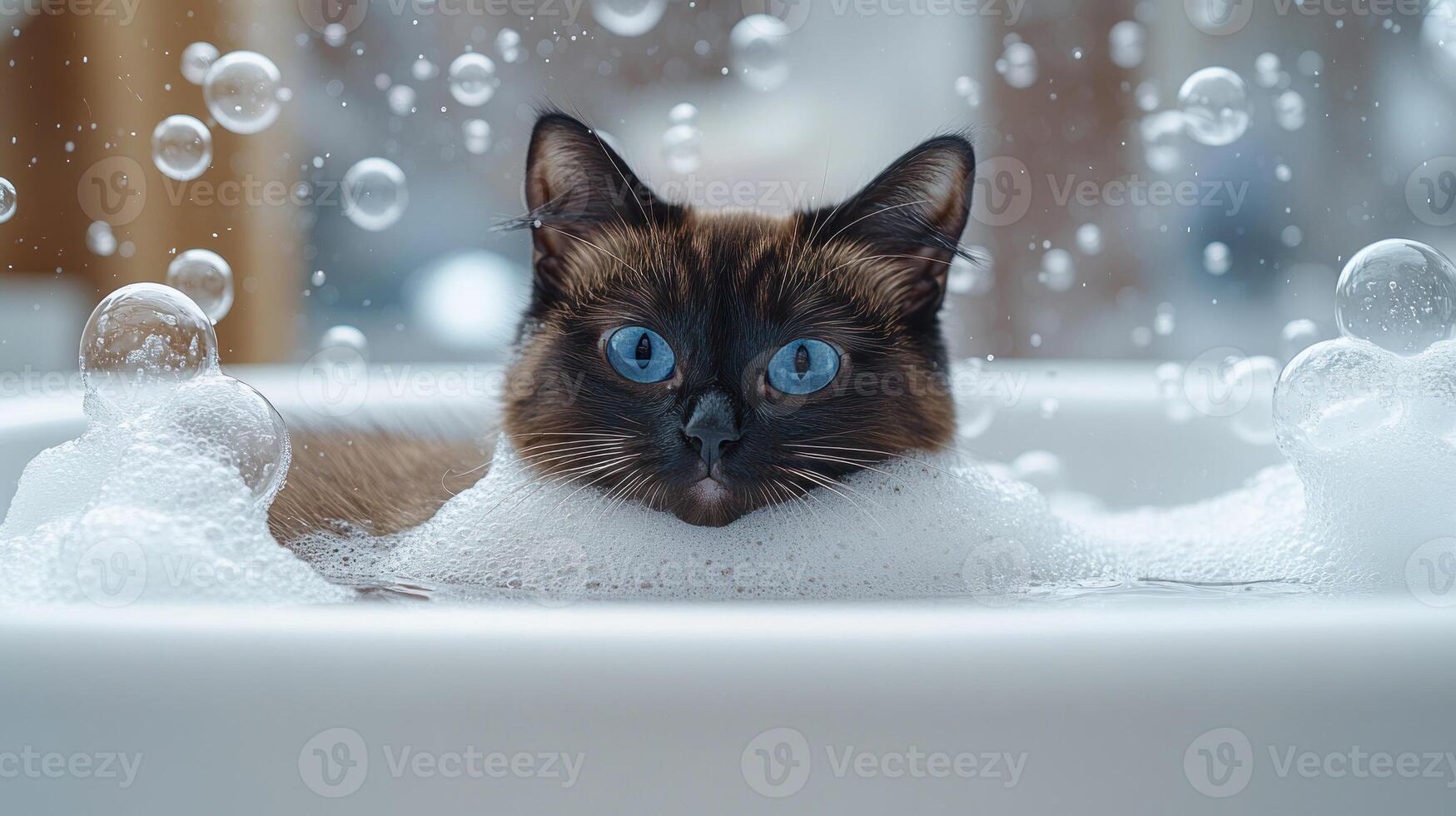 A fluffy cat relaxes in a tub filled with bubbles, happily enjoying bath time photo