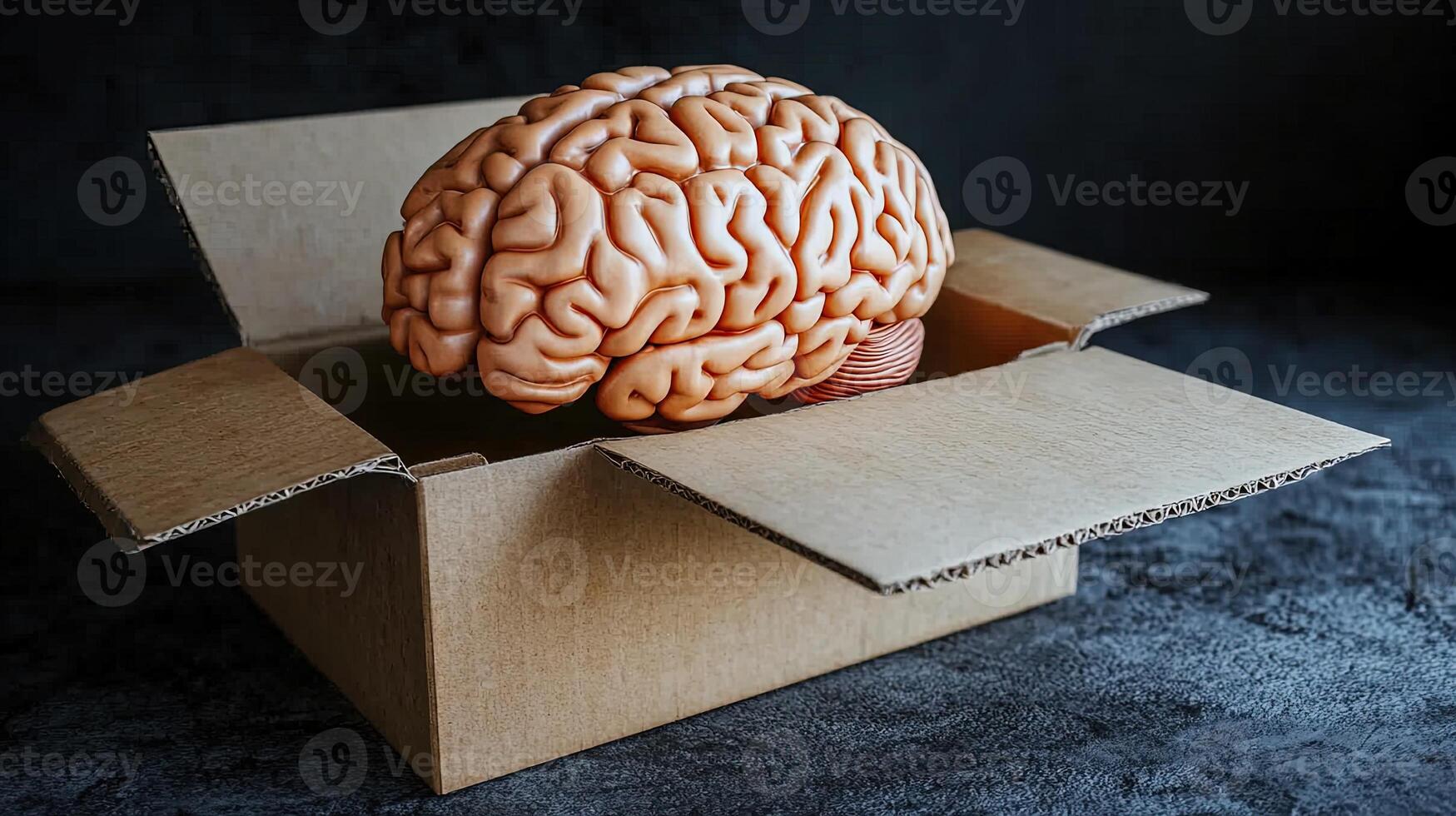 A realistic brain emerges from an open cardboard box, symbolizing creativity and introspection photo