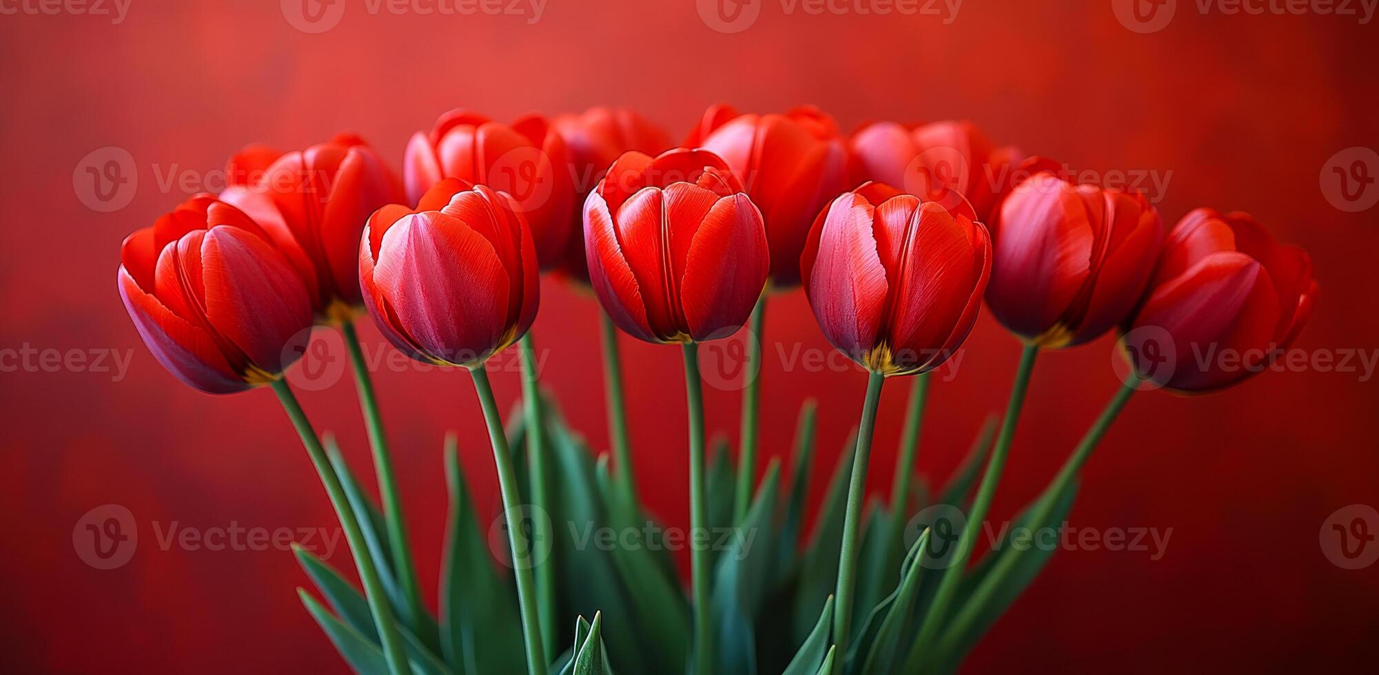 Red tulips pop on bright backdrop. Bright red tulips arranged beautifully against a vivid background showcasing their vibrant colors and fresh appearance photo