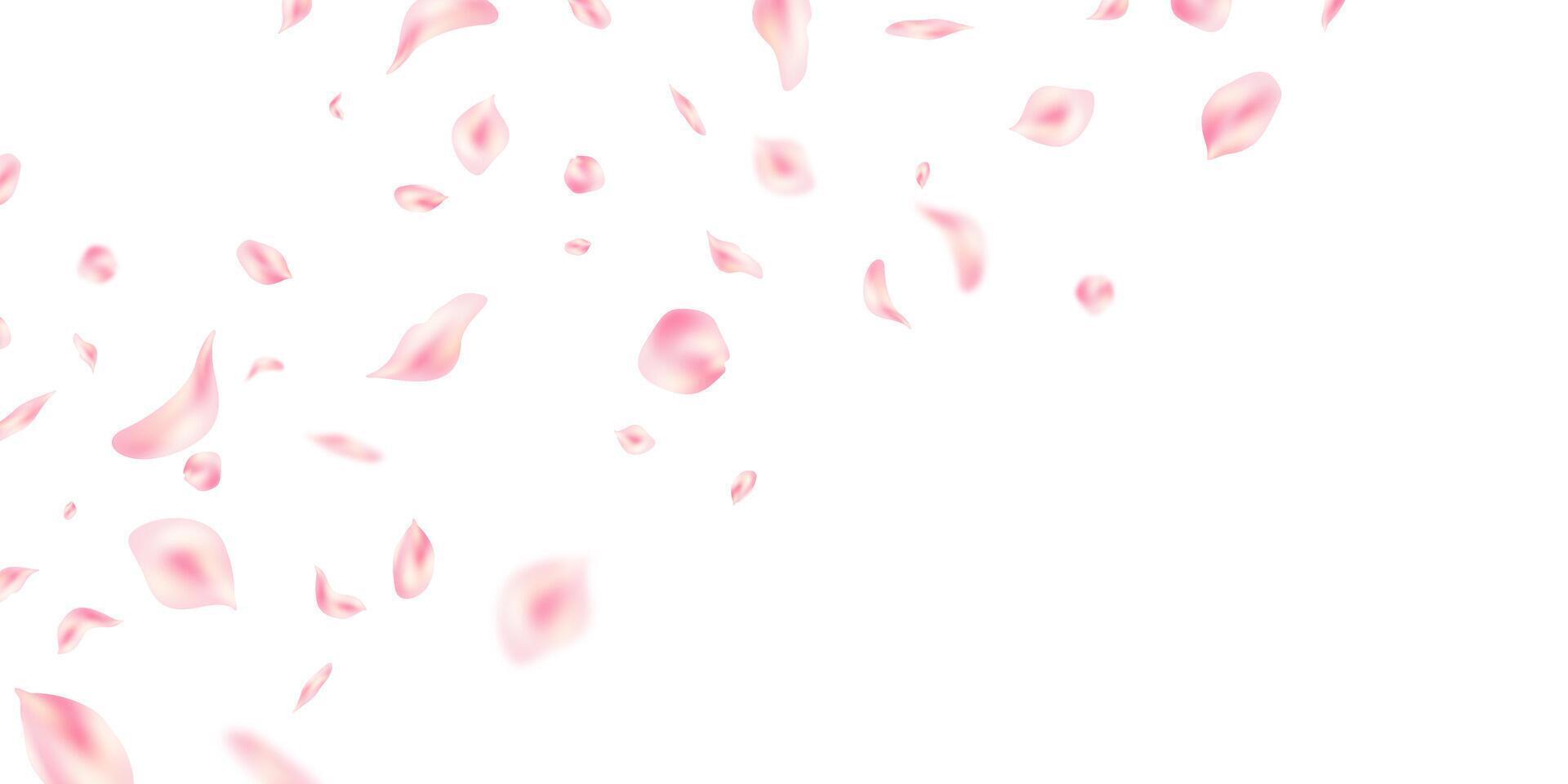 Pastel pink flower petals fall on abstract floral background with beautiful petal greeting card design. illustration vector