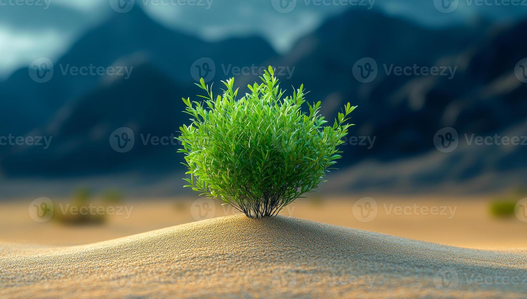 A small green bush is growing on a sandy hillside. Concept of resilience and hope, as the plant is able to thrive in a harsh environment photo