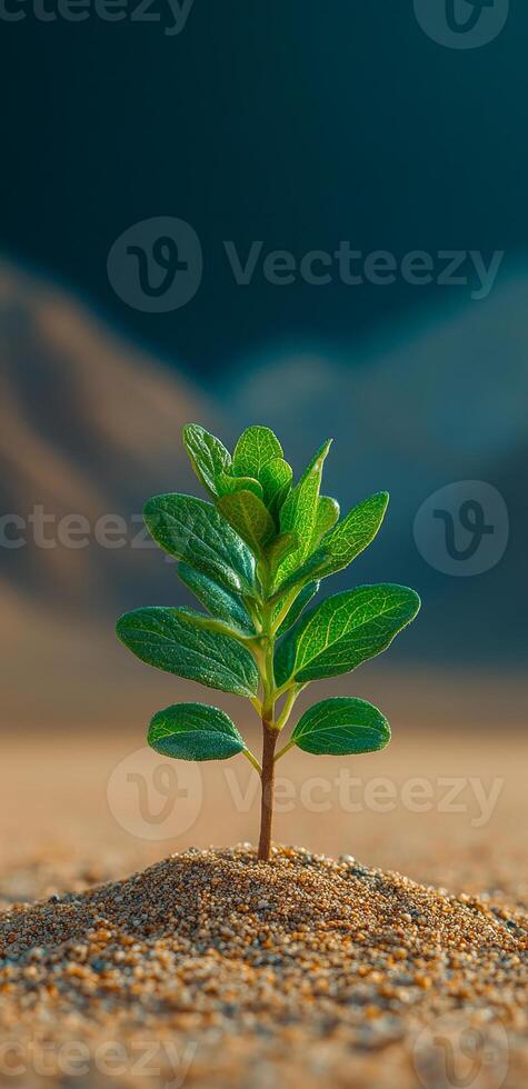 A small green plant is growing in the sand. Concept of hope and resilience, as the plant is able to grow in an unlikely environment photo