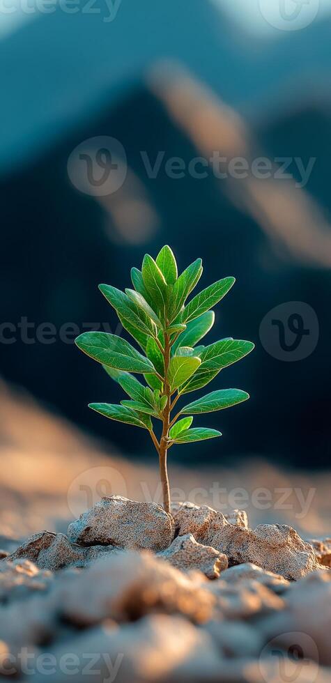 A small green plant is growing in the dirt. The plant is surrounded by rocks and mountains in the background. Concept of resilience and hope, as the plant is able to grow photo