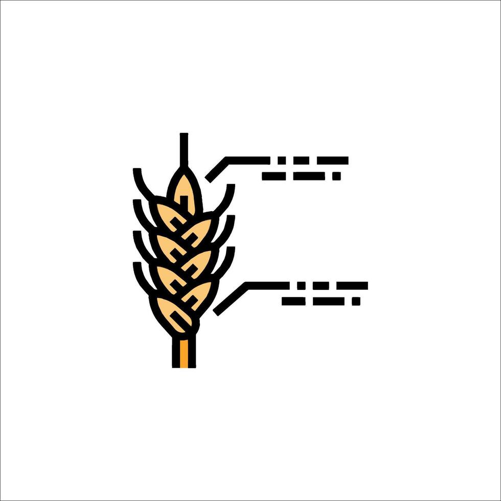 An illustration of a wheat ear with the words grain and grain vector