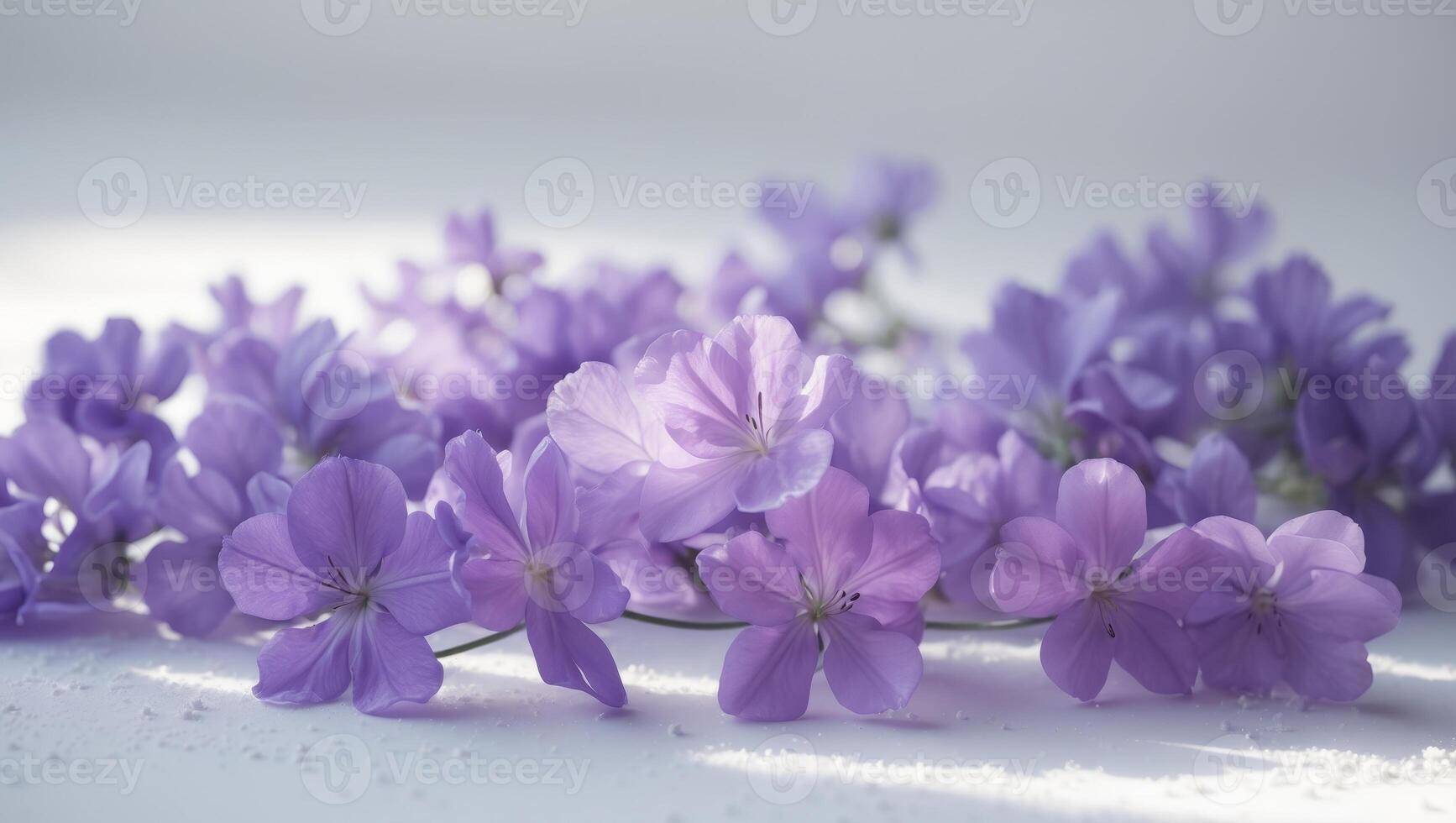 A bunch of purple flowers arranged on a clean white surfaceA bunch of purple flowers arranged on a clean white surface. photo