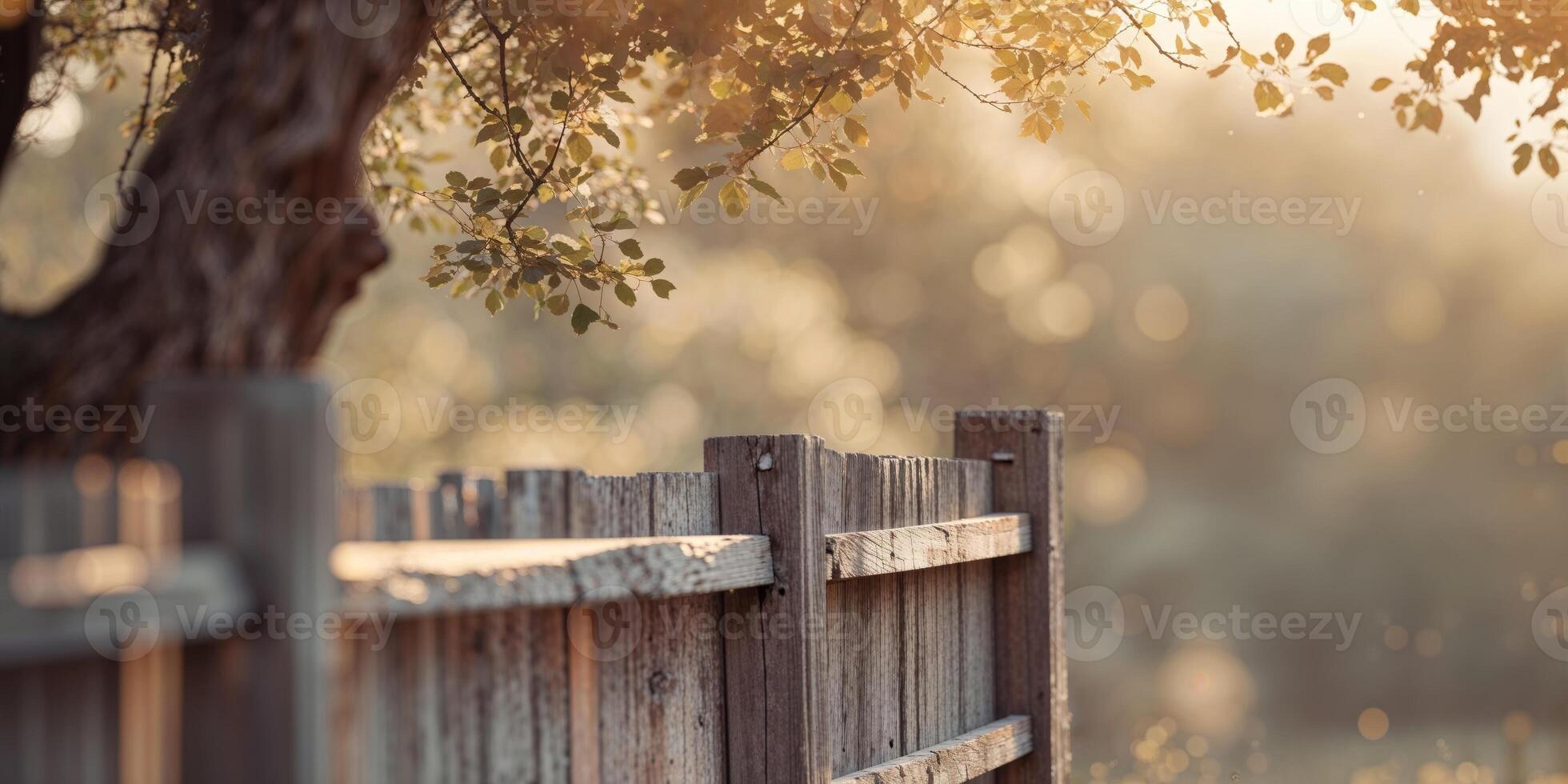 Wooden Fence with Sunlight Through Trees photo