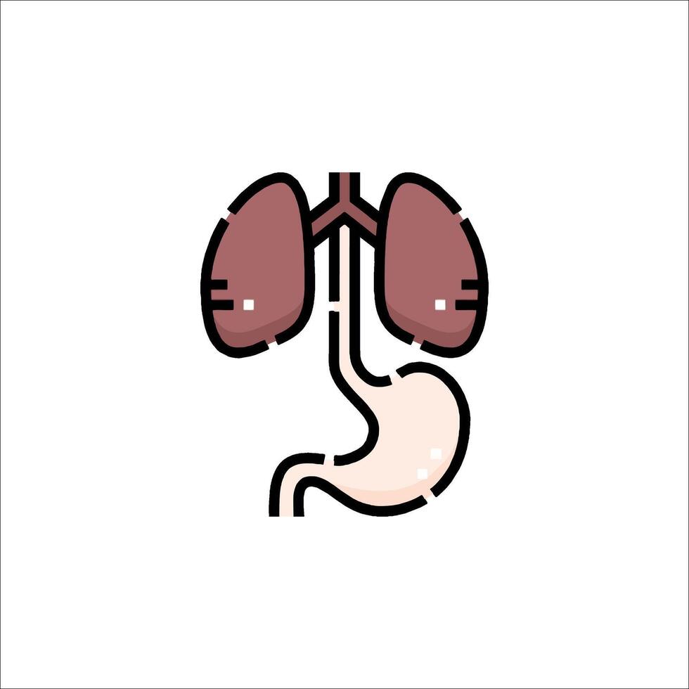 The human body with the lungs and the stomach vector
