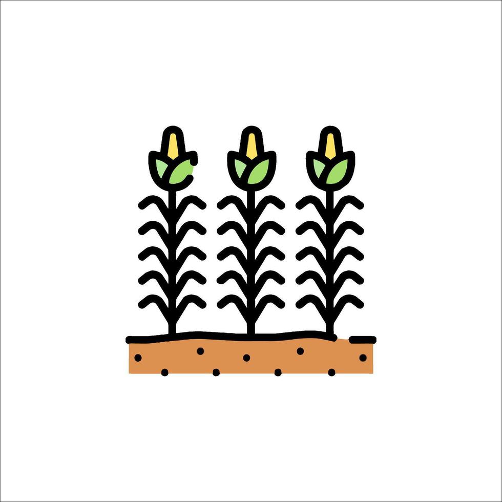Corn field with plants and soil on a white background vector