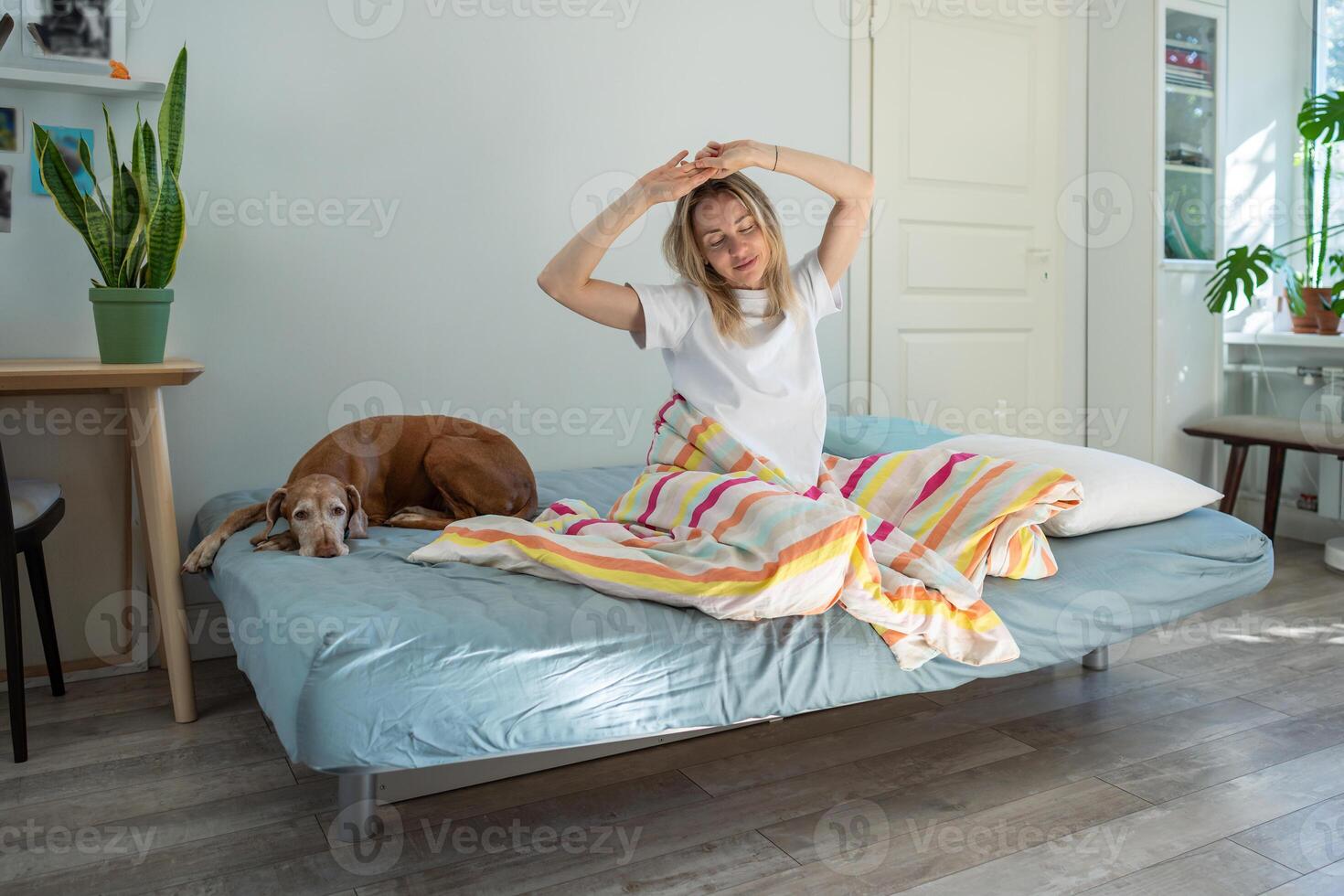 Just woken up woman sits up in bed stretching with arms raised and eyes closed, enjoys calm. photo