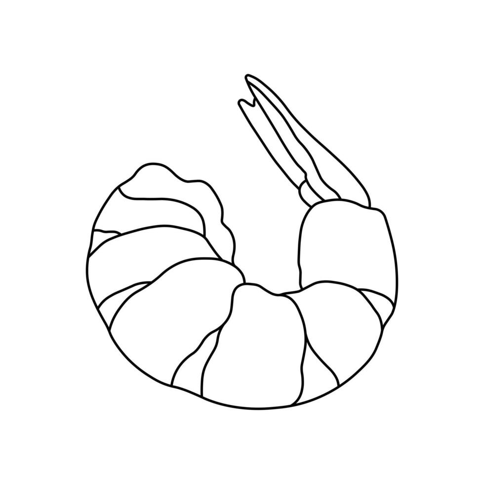 Hand drawn kids drawing illustration cooked shrimp cartoon isolated vector