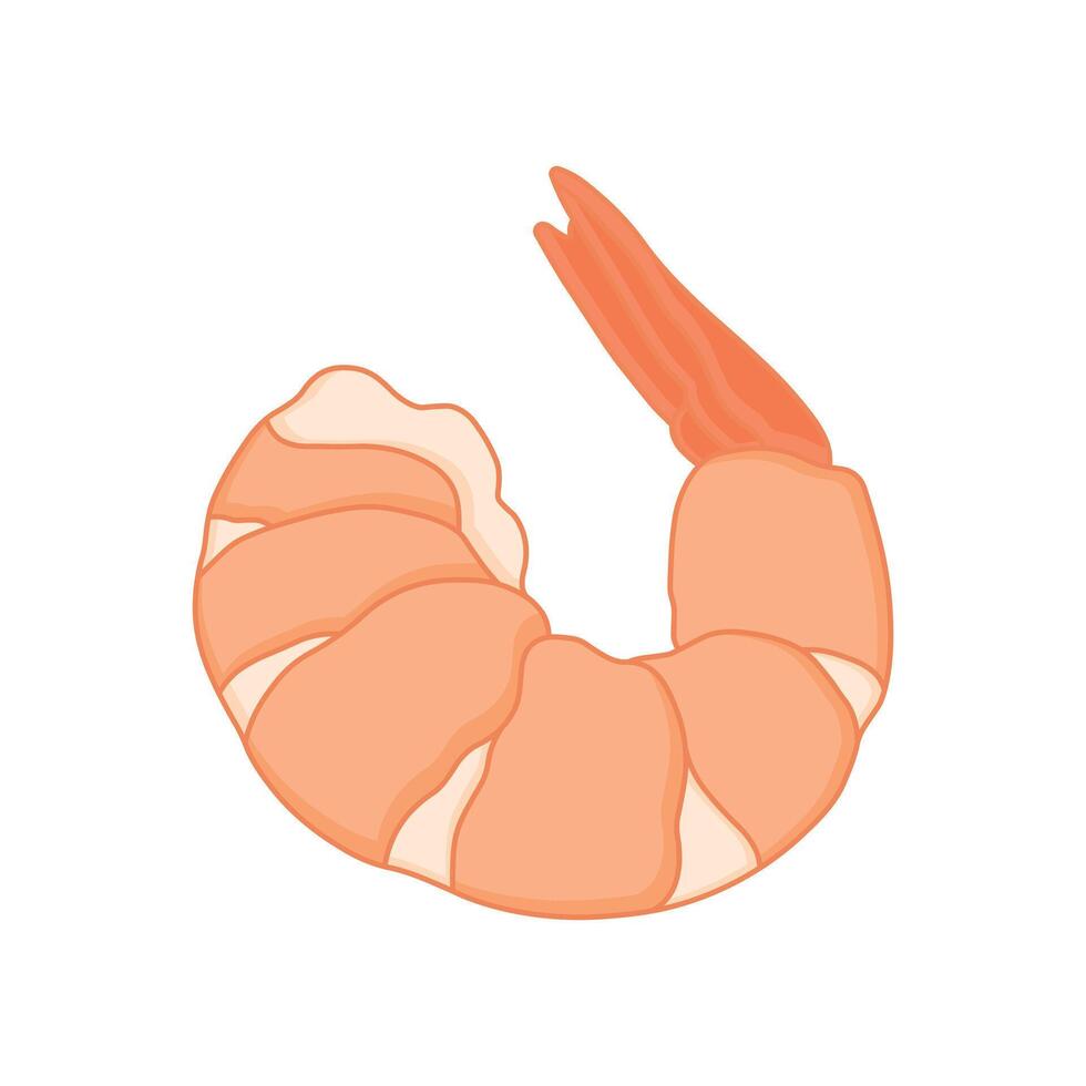 kids drawing illustration cooked shrimp cartoon isolated vector