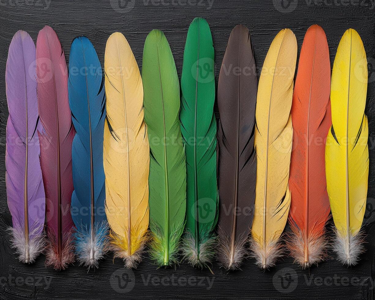 Vibrant rainbow colored feathers arranged in a row on a black background photo