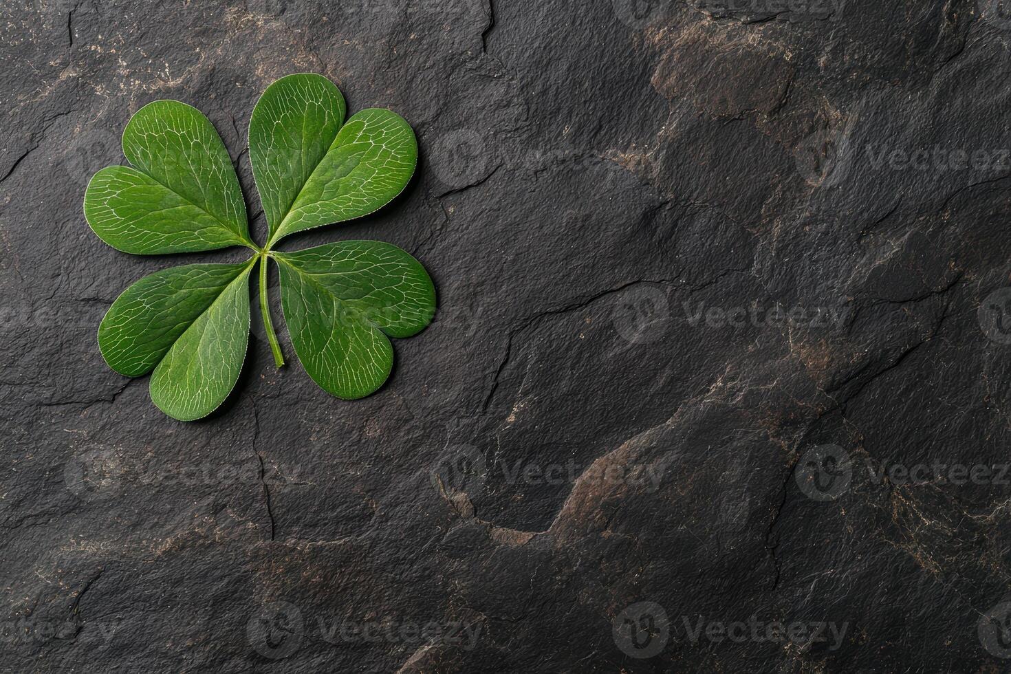 Close up of a four leaf clover on a dark stone background photo