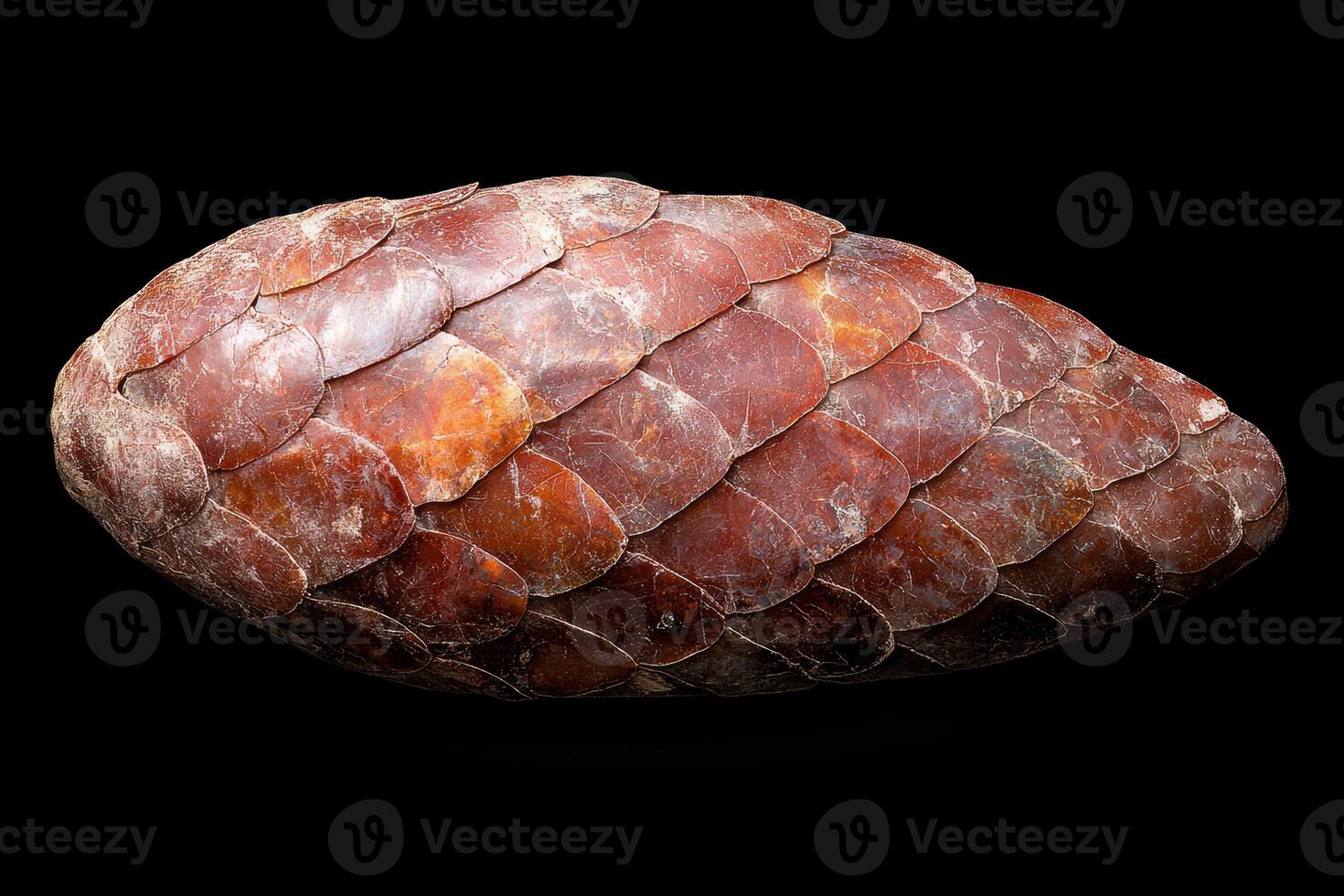 Close up of a pangolin scale texture photo