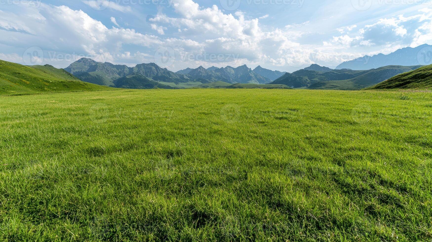 Stunning mountain range view from a lush green field photo