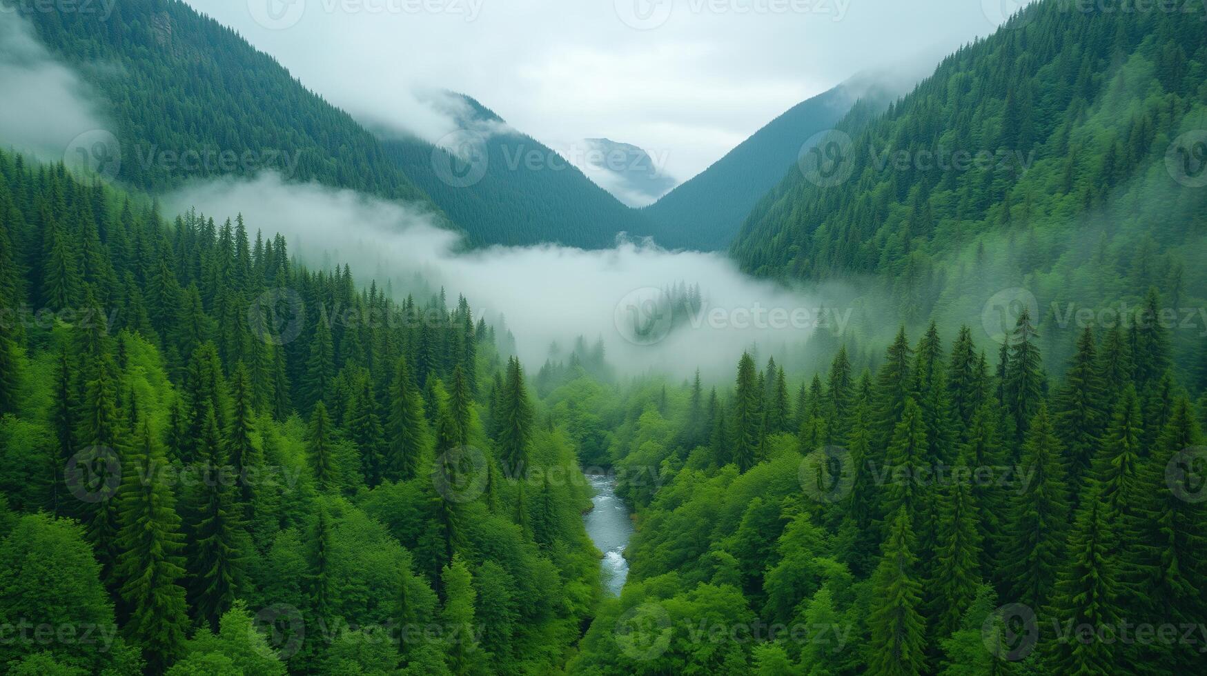 Fog Over Lush Forest in Mountain Valley with River and Pine Trees on Cloudy Day Creating Serene Nature Landscape with Mystical Fog and Nature Elements for Eco Tourism and Tranquil Designs photo