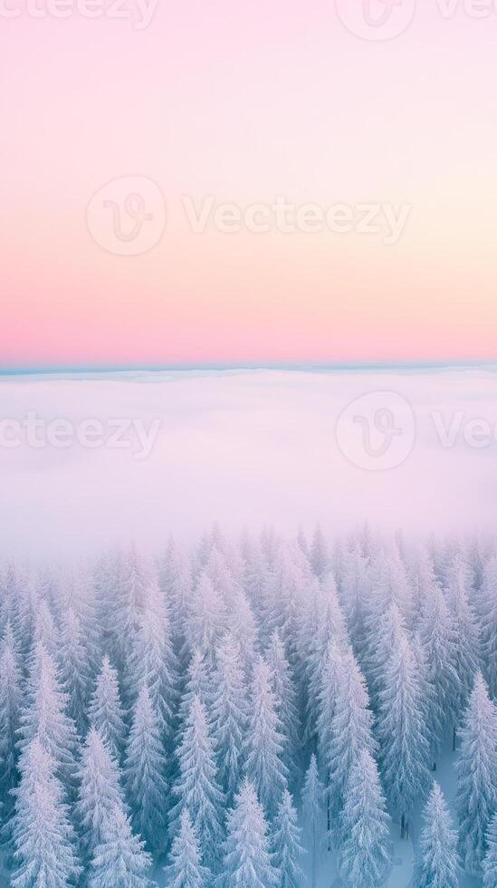 Majestic Winter Landscape of Sallatunturi's Snow-Covered Slopes and Frosty Pine Trees at Sunset with Soft Pastel Sky and Fog Creating a Dreamlike Scenic View Ideal for Tranquil Stock Photography photo