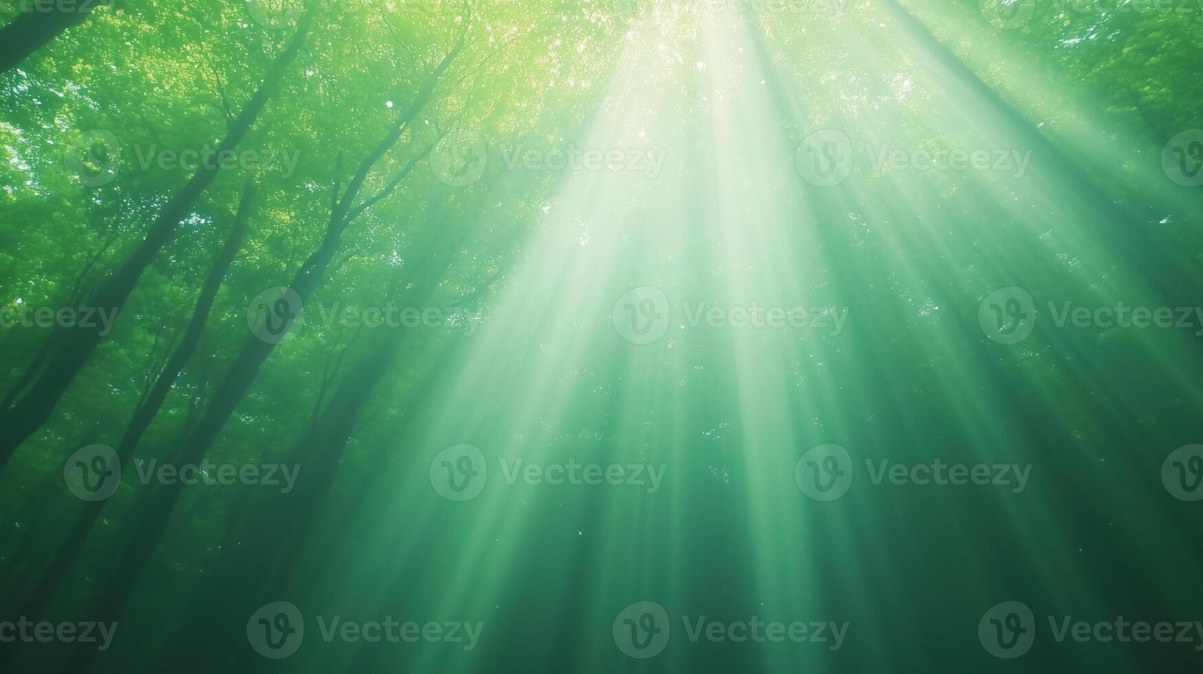 Sunlight Filtering Through Forest Canopy Creating Ethereal Underwater Illusion with Green Light Rays and Tree Silhouettes photo