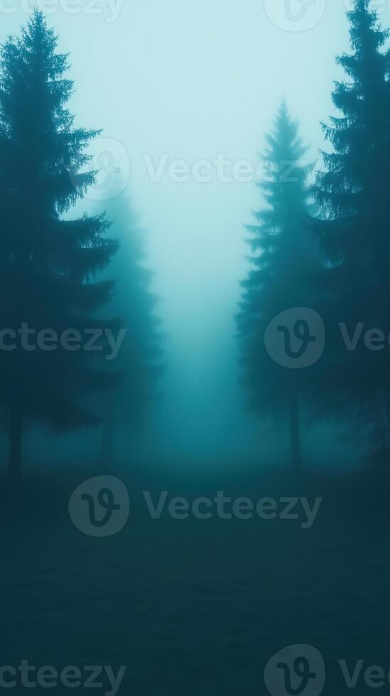 Mystical Forest Path Shrouded in Dense Fog with Tall Pine Trees Creating Eerie Atmosphere Perfect for Spooky Themes and Nature Retreats photo