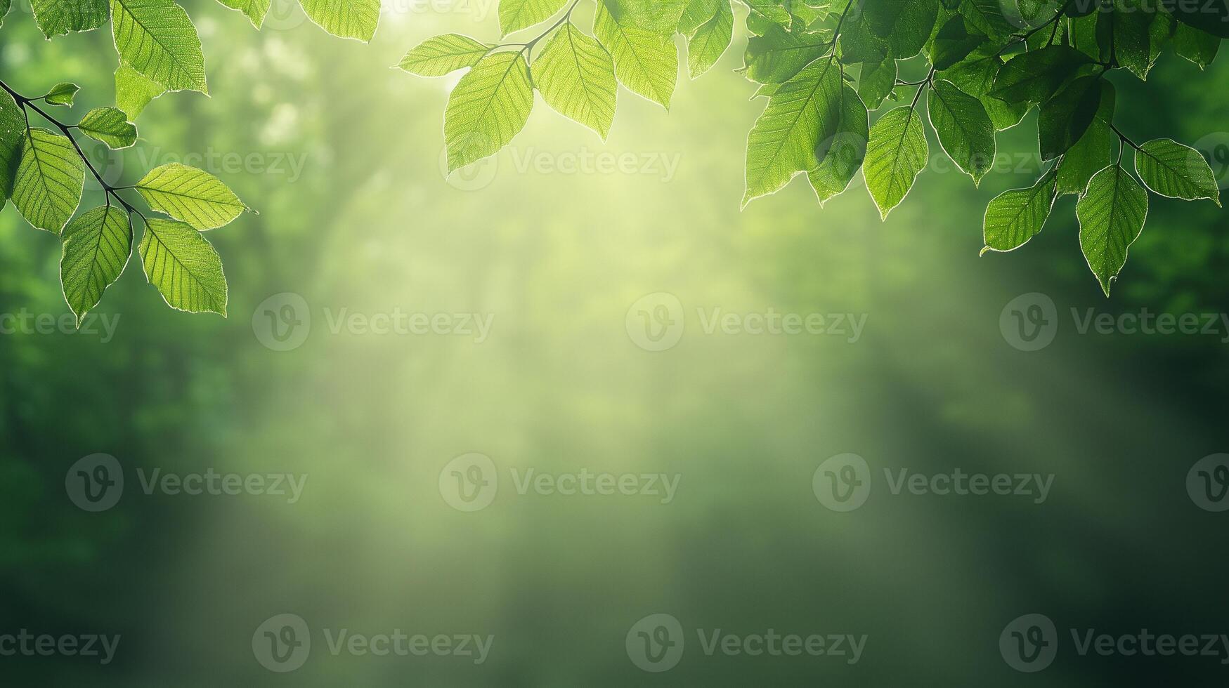 Sunbeams Shining Through Lush Green Leaves Creating a Serene and Magical Forest Ambiance with Soft Light and Nature's Tranquility Ideal for Relaxation and Environmental Concepts photo