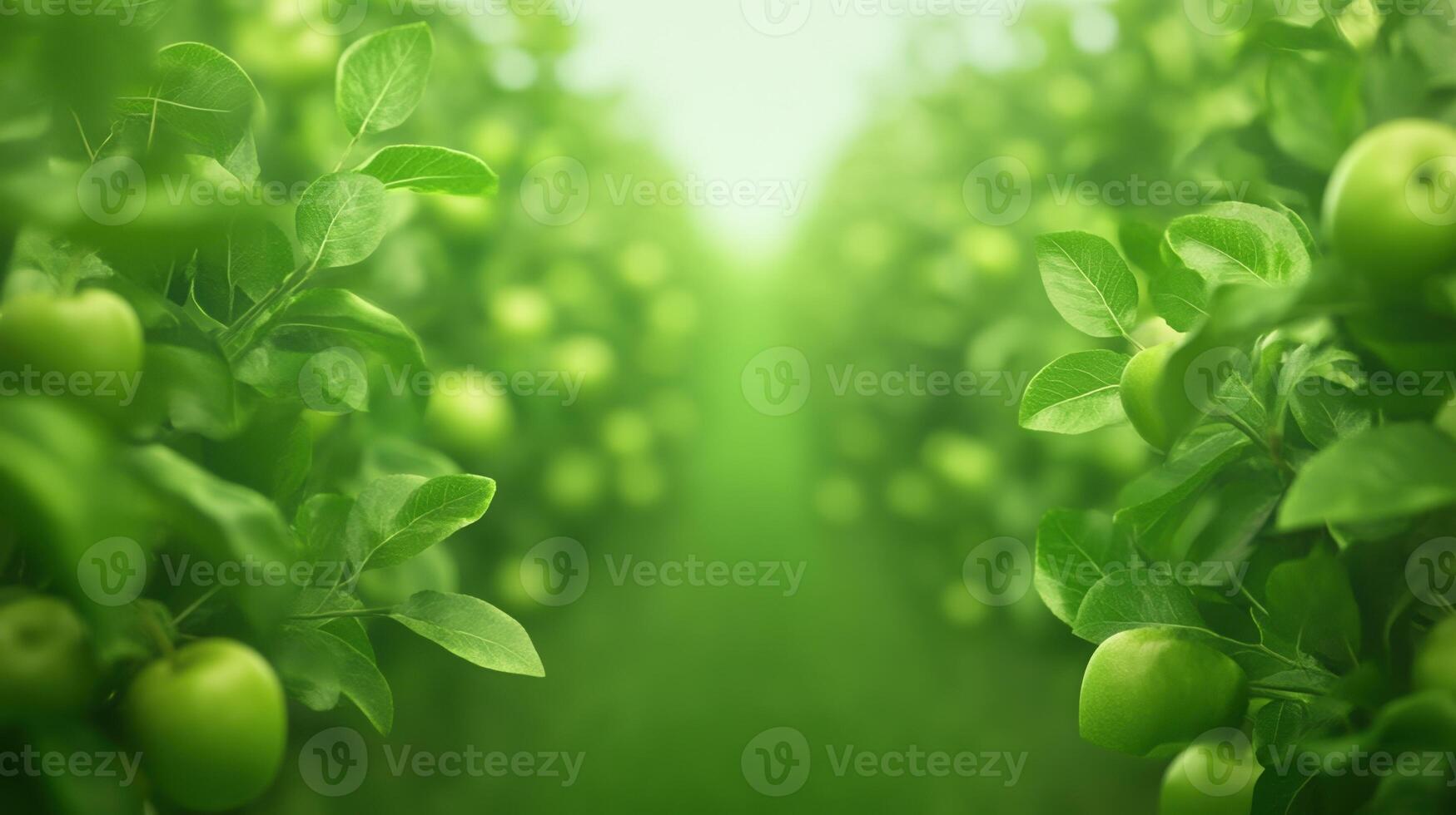 Lush Green Orchard with Apple Trees in a Modulated Canopy with Fresh Green Apples and Leaves Under Bright Greenery Creating a Peaceful and Refreshing Visual ideal for Nature and Gardening Themes photo