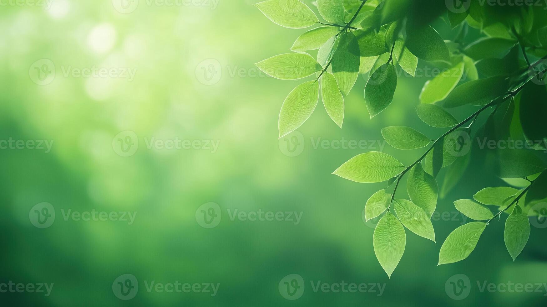 Panda Bear Eating Bamboo in Lush Green Forest, Nature Wildlife Photography, Peaceful Environment, Tranquil Wilderness Scene, Majestic Animal in Natural Habitat, Conservation Awareness Image photo
