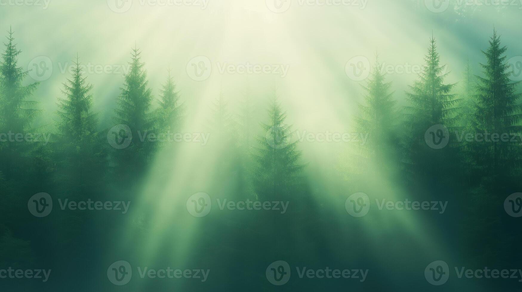Rays of Sunlight in Spruce Forest with Bright Sunbeams Shining Through Trees Creating Magical Atmosphere and Serenity, Perfect for Nature, Tranquility, and Wilderness Themes in Photography photo