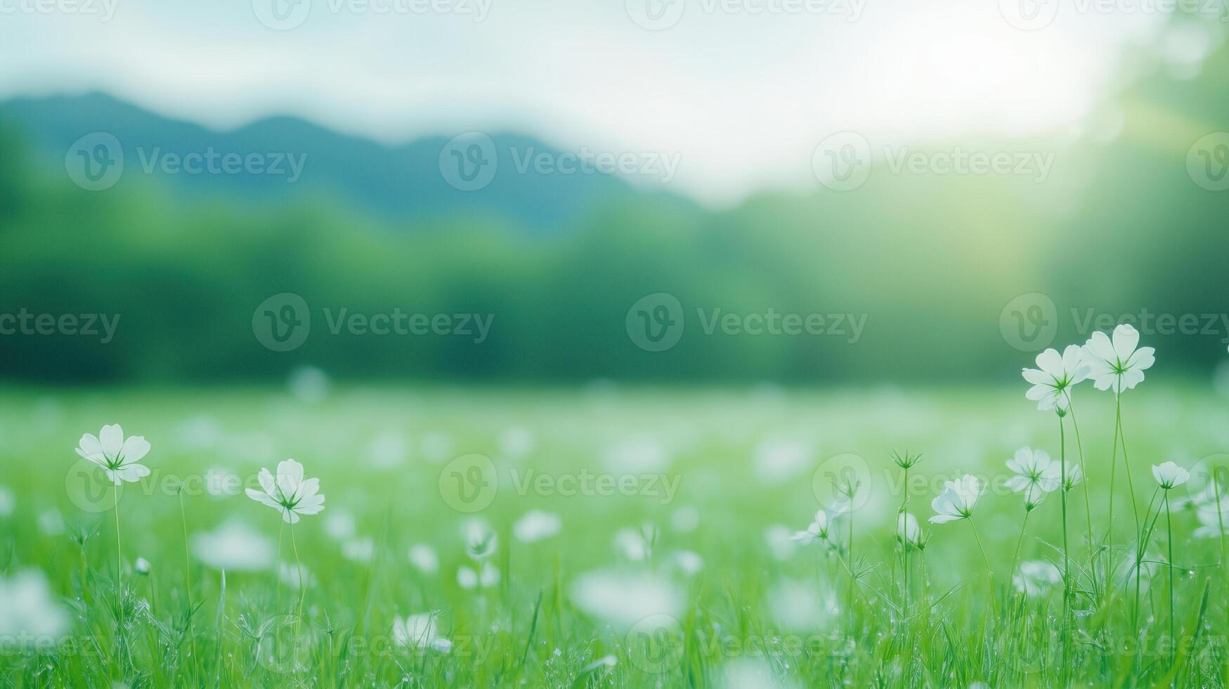 Blurred Meadow with Wildflowers Swaying in Gentle Breeze and Lush Green Background Capturing Serene Tranquility with Sunlight on Floral Landscape Perfect for Spring or Nature Themed Designs photo