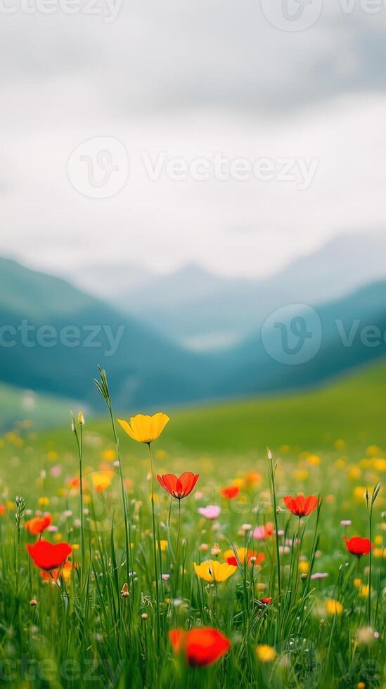Vibrant Wildflowers In Serene Mountainous Landscape Featuring Poppies Under Cloudy Sky, Capturing Natural Beauty And Tranquility Of Springtime Bloom In Meadow With Rolling Hills And Distant Peaks photo
