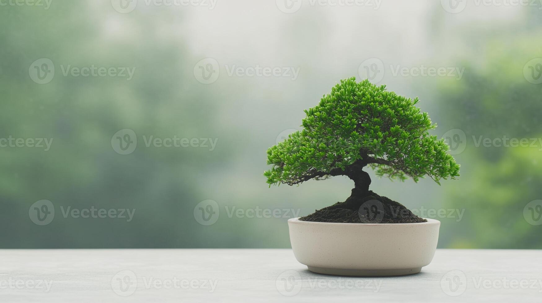 Tranquil Bonsai on Green Screen Backdrop in Serene Garden Hut with Projected Sea View for Zen Meditation and Nature Connection photo