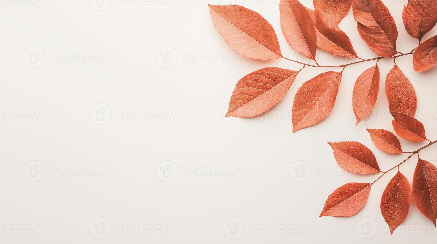 Natural Tree Leaves Casting Shadows on a White Wall Background, Minimalist Nature Concept with Autumn Colors for Seasonal Design and Interior Decoration, Emphasizing Simplicity and Warmth photo