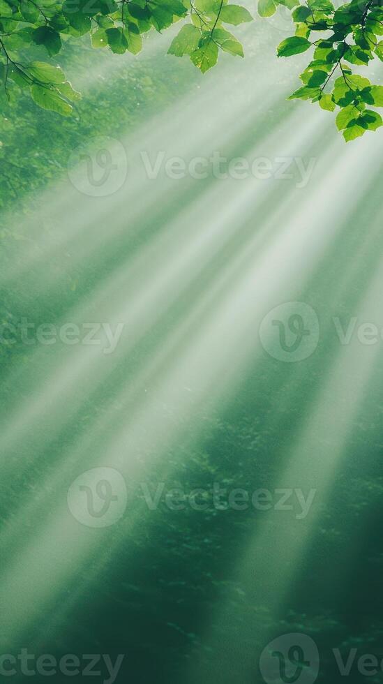 Sun Rays Shining Through Tree Leaves Creating Ethereal Forest Illumination in Nature Scene with 916 Style Vibe Emphasizing Abstract Light Patterns and Tranquil Greenery Elements photo