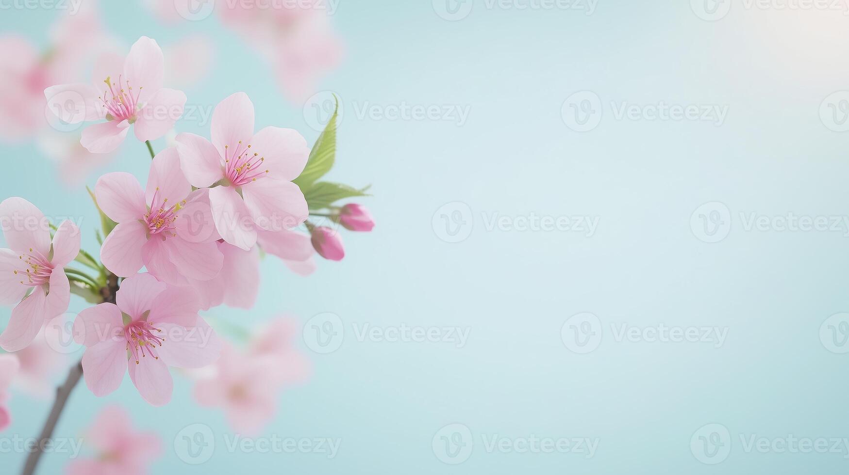 Serenity Petals in Pink Serenity Petals in Pink
