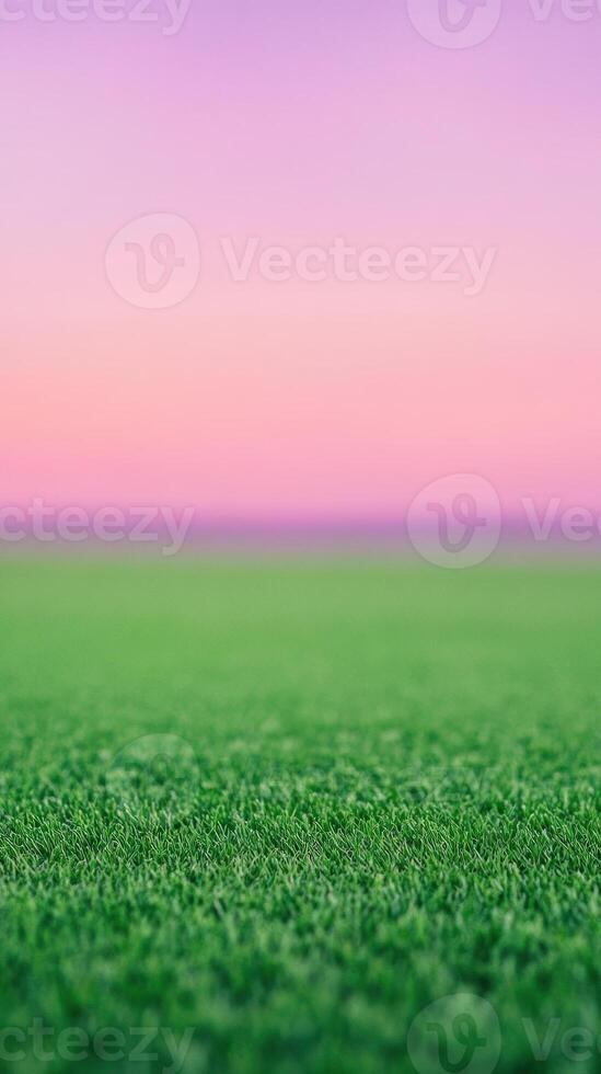 Scenic Baseball Field at Night with Vibrant Stadium Lights for Evening Game Atmosphere in Twilight Glow Amidst Enthusiastic Crowd Celebrating Sportsmanship and Team Spirit Under a Starry Sky photo