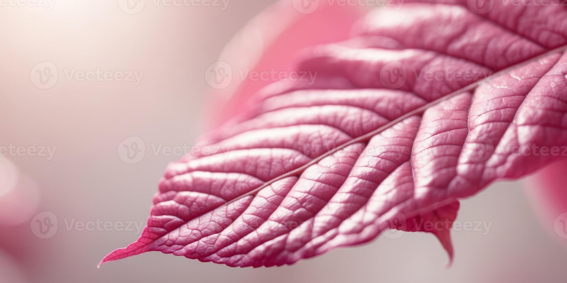 Vibrant Pink Leaf Texture Background Closeup photo