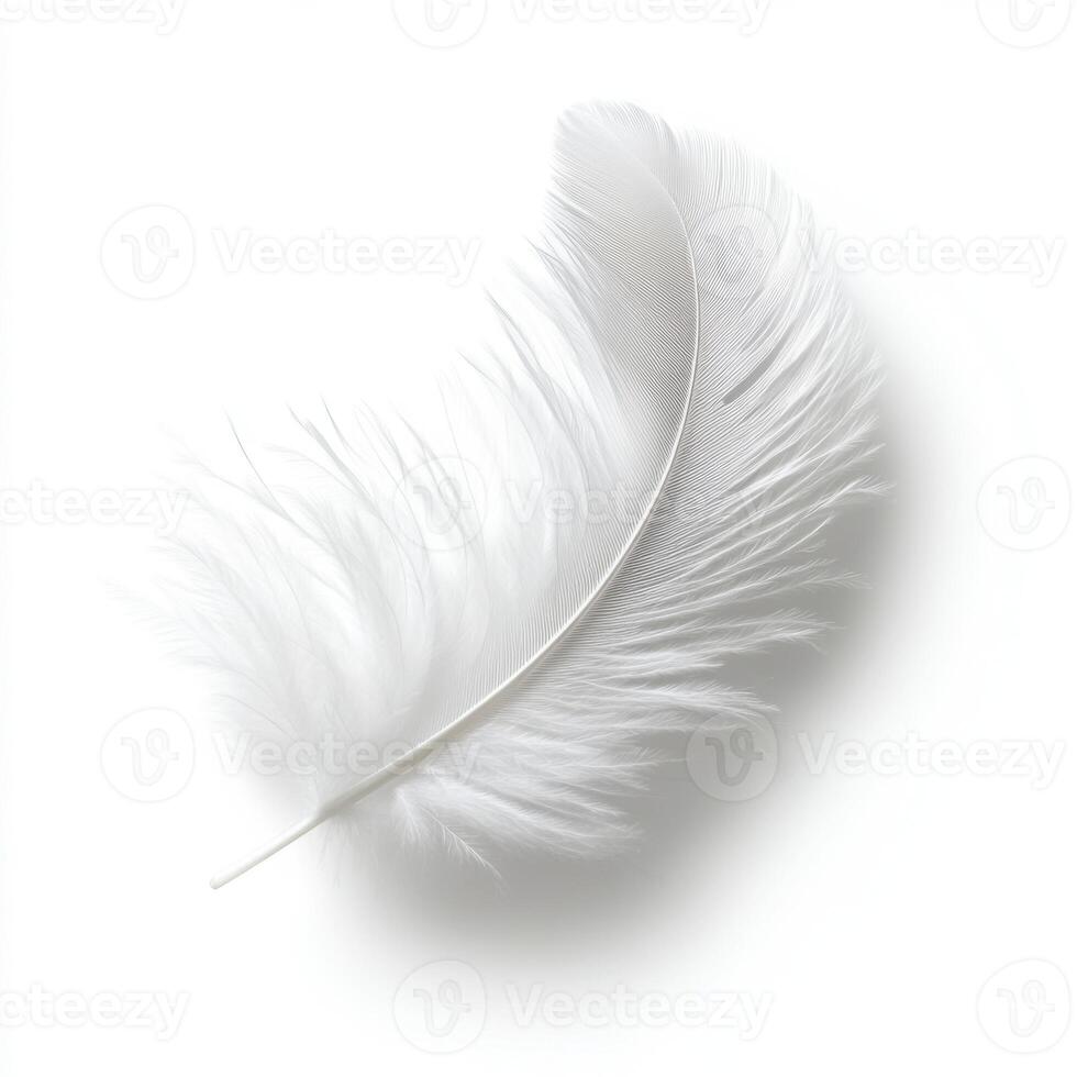 White feather with delicate texture resting lightly on a plain background photo