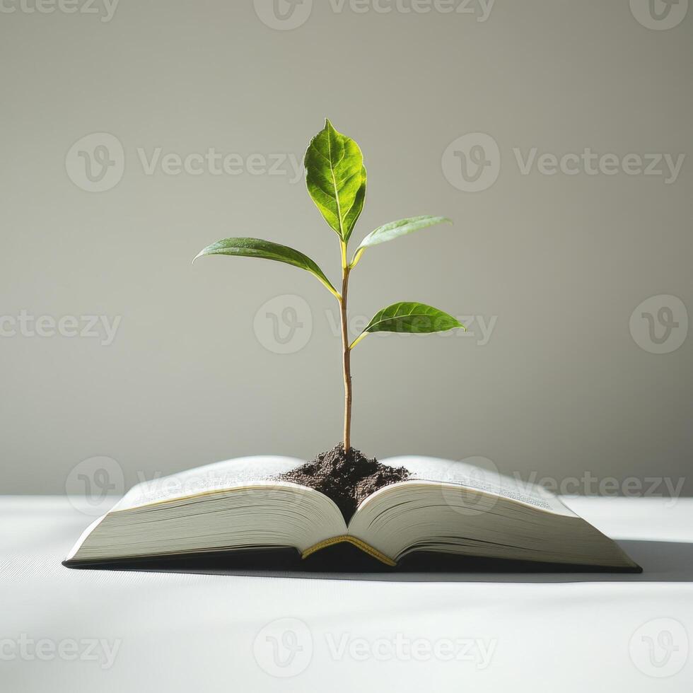 Growing plant emerges from open book symbolizing knowledge and nature in harmony photo