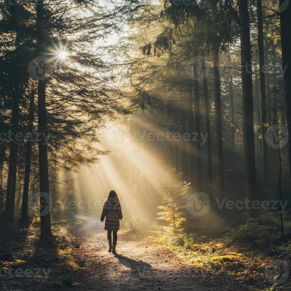 Walking through a sunlit forest path with rays of light filtering through the trees in morning serenity photo
