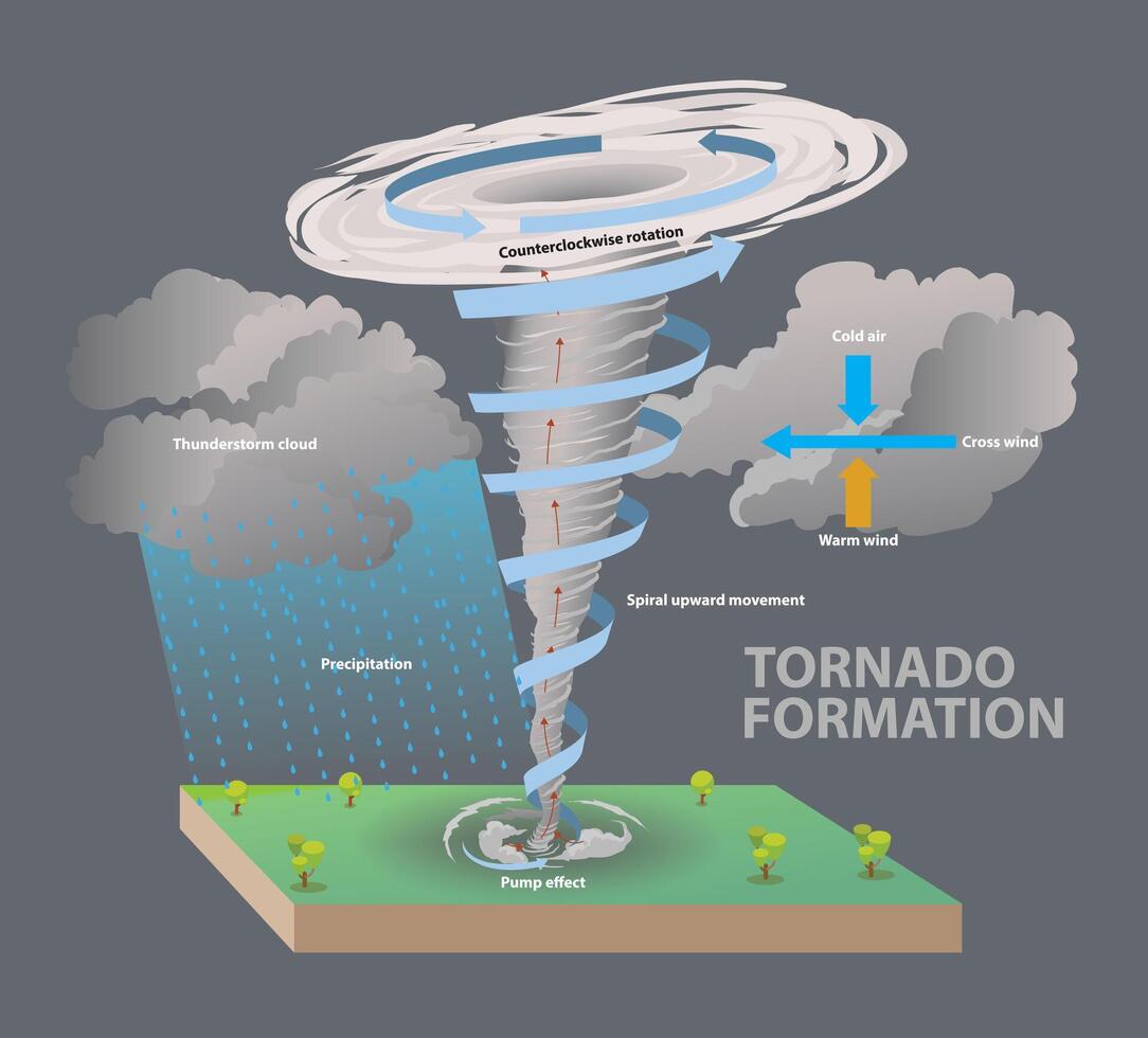 illustration of tornado formation diagram vector