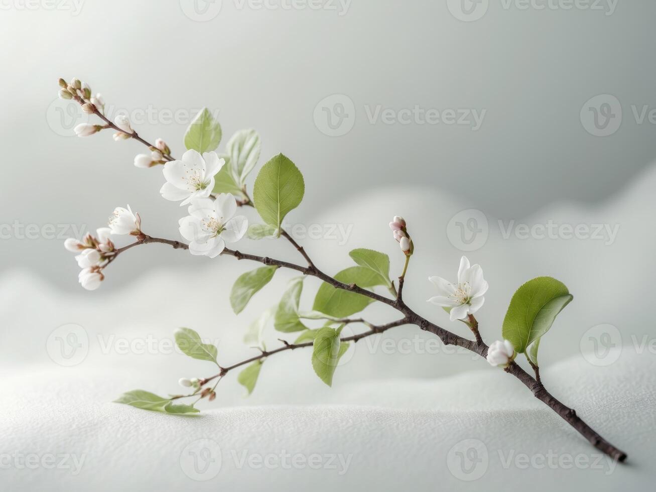 Delicate White Blossoms on a Branch with Soft Green Foliage and Gentle Background photo