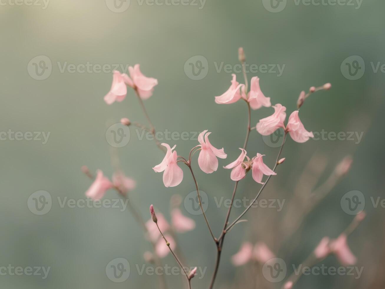 Delicate Pink Flowers Bloom in Soft Green Nature Background. photo