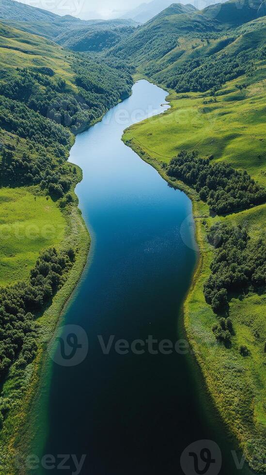 A river with a green forest on either side photo