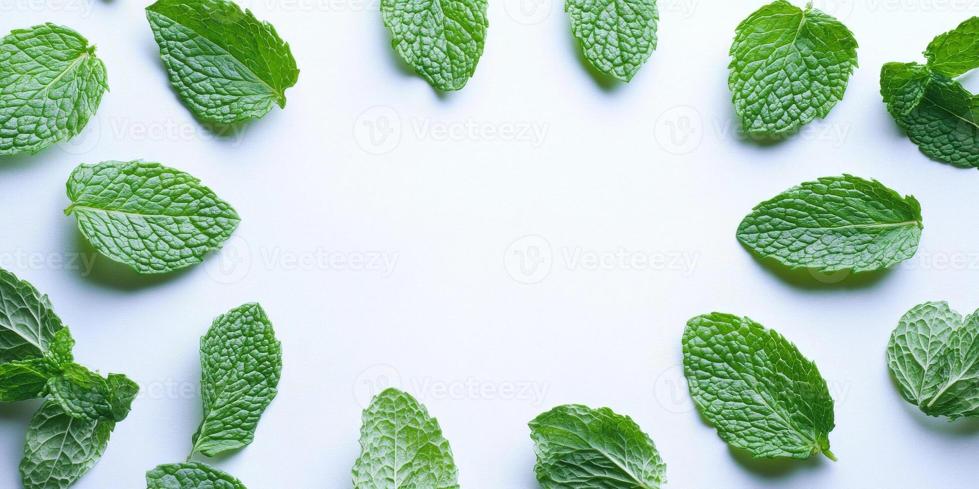 A bunch of green mint leaves are arranged in a circle on a white background photo