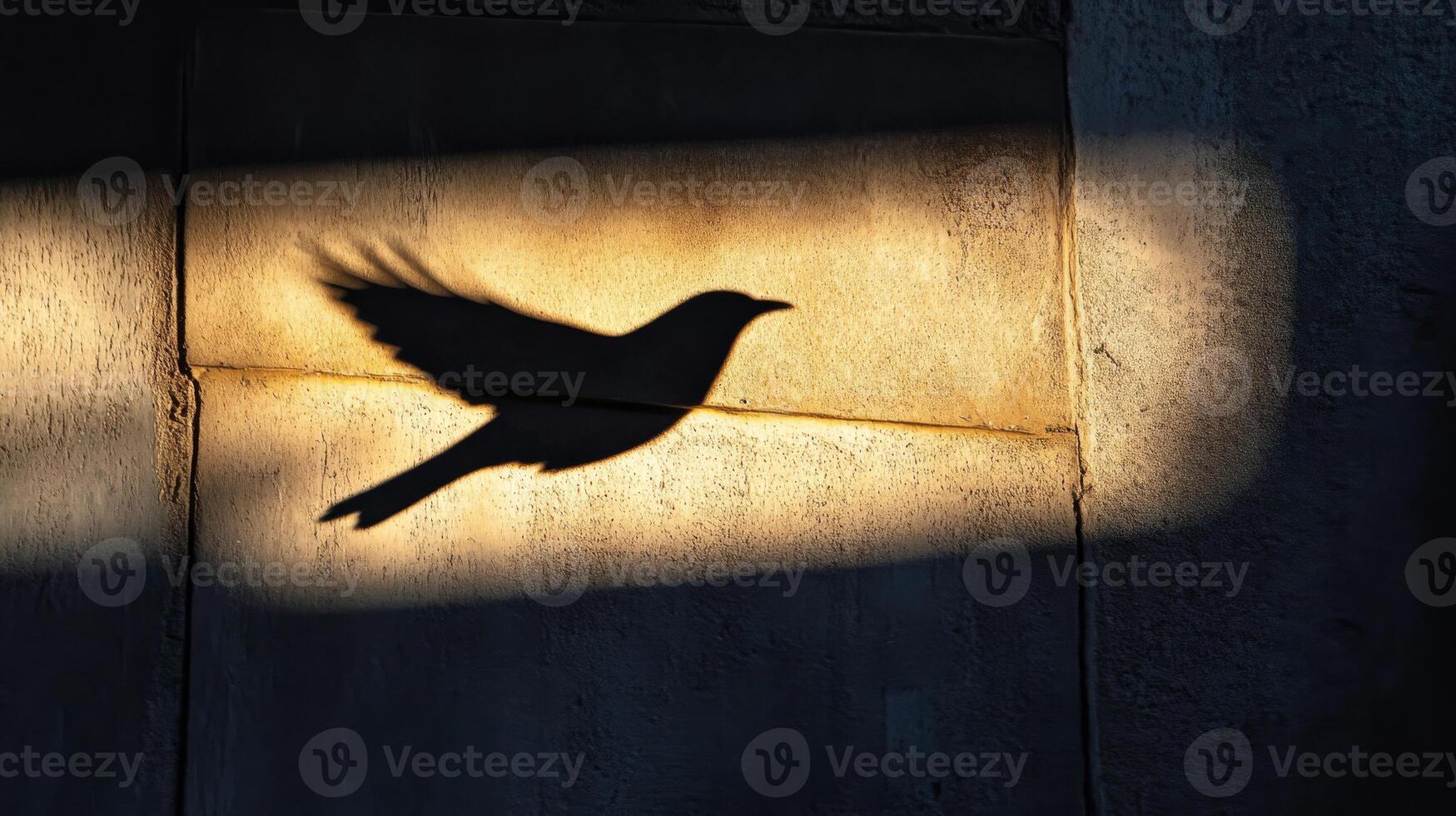 A bird's shadow in flight on a sunlit wall, creating a dramatic silhouette in an urban environment. photo
